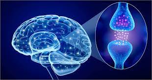 Brain Imbalance Symptoms
